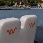 Portofino San Fruttuoso and Camogli One Day Boat Tour - A Deep Dive into the Experience: What to Expect