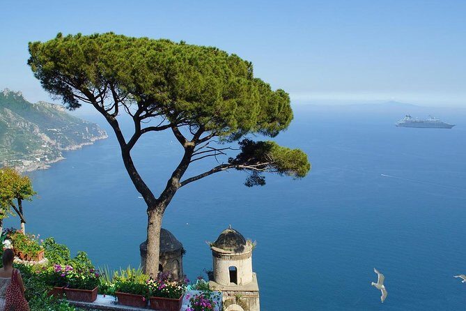 Positano, Sorrento & Pompeii One Day Trip from Naples with Driver - Authentic Reviews and Insights