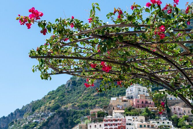 Positano Walking Tour with a Local Guide - What We Loved About the Tour