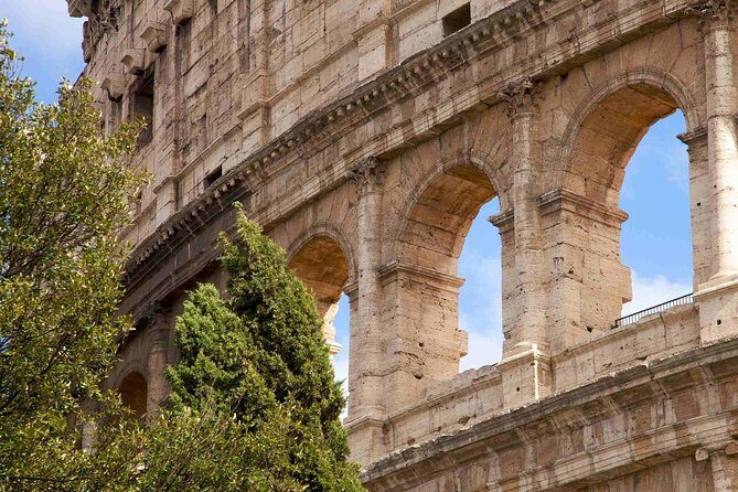 Post-Cruise Private Tour from Civitavecchia Port to Rome - Potential Drawbacks and Considerations