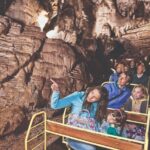 Postojna cave & castle | Private half day trip from Ljubljana - The Details of the Tour: What to Expect