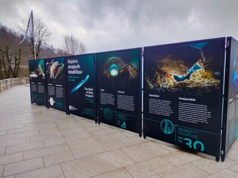 Postojna cave day tour from Ljubljana - Why This Tour Is a Great Choice for Travelers