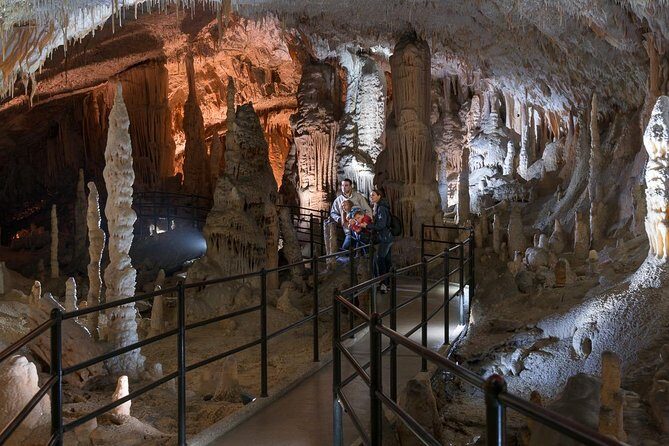 Postojna Cave & Predjama Castle - Exploring Postojna Cave and Predjama Castle in Depth