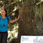 Power of Trees Private Tasting Tour - Final Thoughts: Is It Worth It?