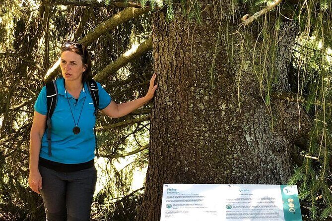 Power of Trees Private Tasting Tour - Final Thoughts: Is It Worth It?