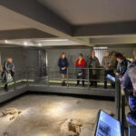 Pozna: Cathedral Island and ródka District Guided Tour - Exploring Pozna: What to Expect on the Tour
