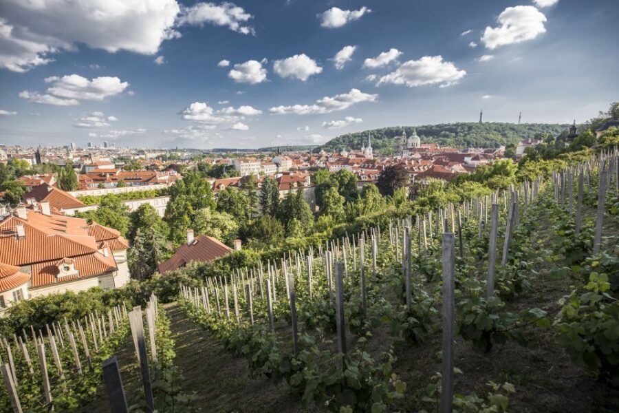 Prague: 3Hour Castle Grounds Walking Tour and River Cruise - What Travelers Say