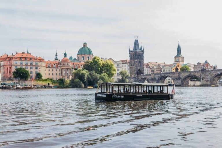 Prague All Must-See Sights: Half-Day Private Tour with Guide - A Comprehensive Dive into the Prague Experience