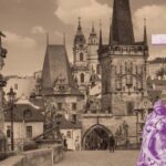 Prague: Charles Bridge and Prague Castle Private Guided Tour - Who Will Appreciate This Tour?