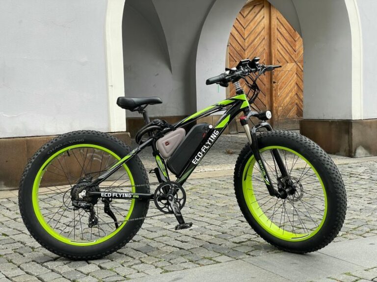 Prague: City Viewpoints Tour by Electric Fat Bike - Who Should Consider This Tour?