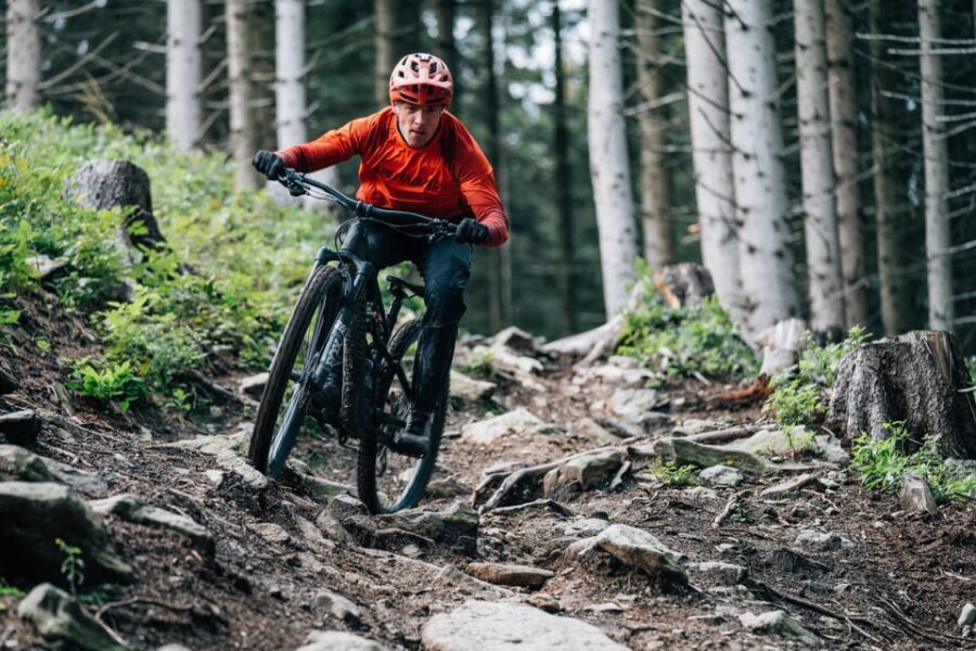 Prague Mountain Biking: Blast Through The Best Singletracks - A Deep Dive into the Prague Mountain Biking Tour