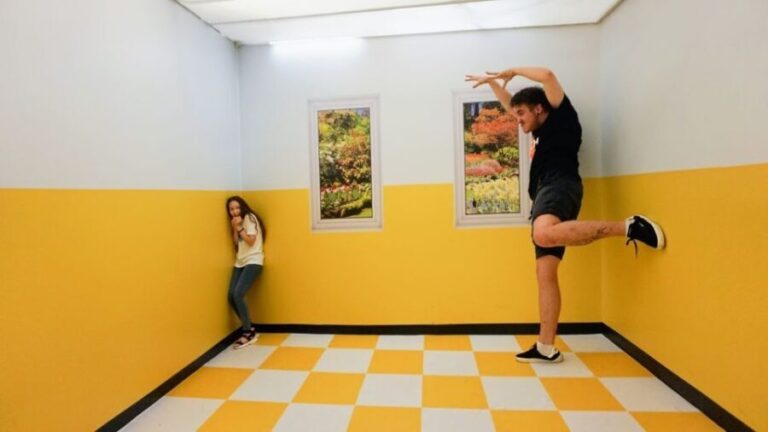 Prague: Museum of Senses Admission Ticket - The Experience from the Visitor’s Perspective