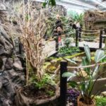 Prague: Papilonia Butterfly House - Authentic Insights from Visitors