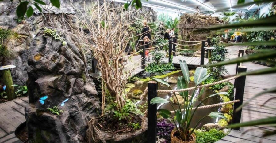 Prague: Papilonia Butterfly House - Authentic Insights from Visitors