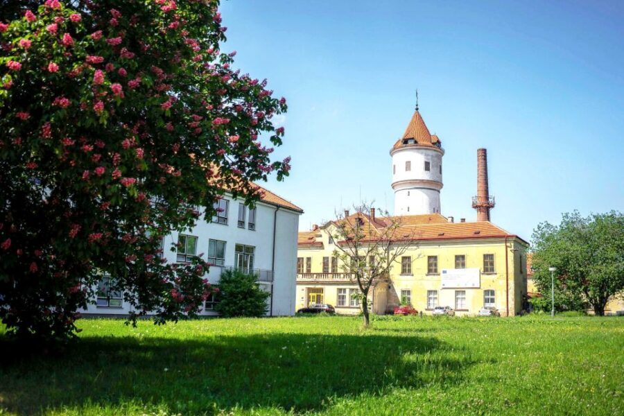 Prague: Psychiatric Hospital and Abandoned Cemetery Tour - A Detailed Look at the Prague Psychiatric Hospital and Cemetery Tour