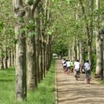 Prague: Stunning Viewpoints, Castle, City & Park E-Bike Tour - Why This Tour Matters for Your Prague Visit