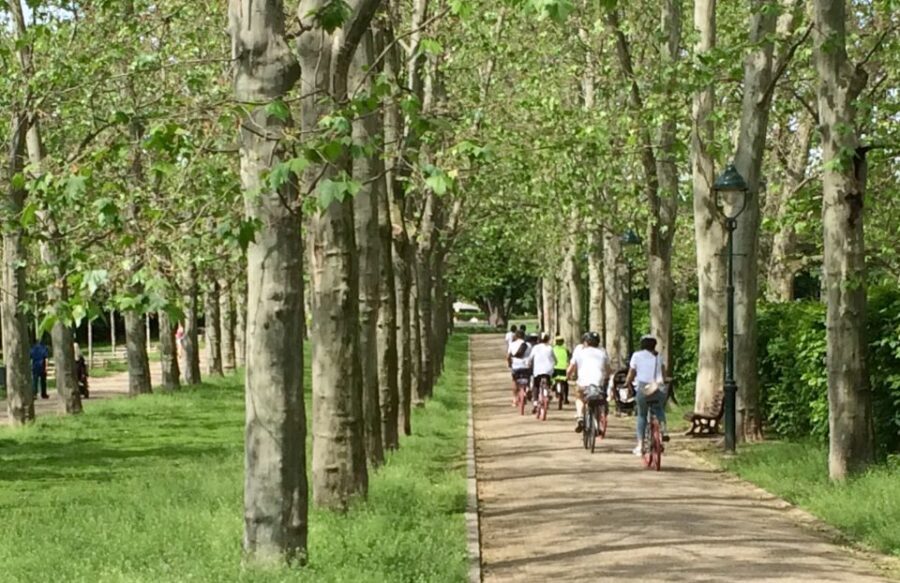Prague: Stunning Viewpoints, Castle, City & Park E-Bike Tour - Why This Tour Matters for Your Prague Visit