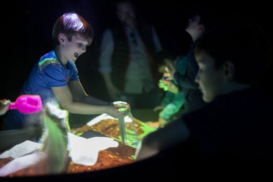 Prague: Ticket to Audiovisual Light Art at Lumia Gallery - Final Thoughts: Who Should Visit?