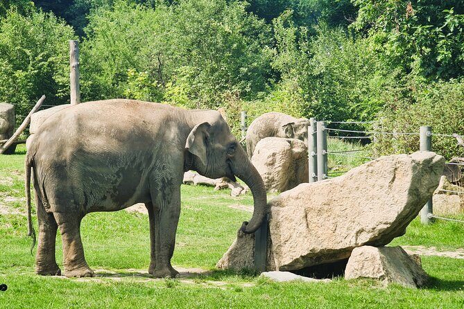 Prague Zoo Admission Ticket with Transfer and Audio Guide - Final Thoughts: Is It Worth It?