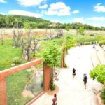 Prague Zoo Online Audio Guide (No ticket) - A Deep Dive into the Prague Zoo Audio Guide