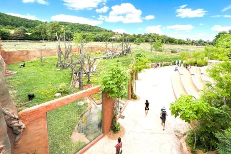 Prague Zoo Online Audio Guide (No ticket) - A Deep Dive into the Prague Zoo Audio Guide