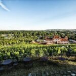 Prague´s Hidden Vineyards Private Tour - Final Thoughts