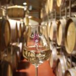 Prahova Salt Mine & Wine Tasting - Private day tour from Bucharest - Final Thoughts