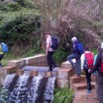 Prazeres: Full-Day Nature Walk - Who Should Book This Experience?