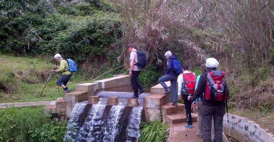 Prazeres: Full-Day Nature Walk - Who Should Book This Experience?