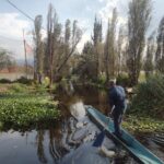 Pre-Hispanic Xochimilco and ajolotario. Private Ecotour. - What the Tour Means for You