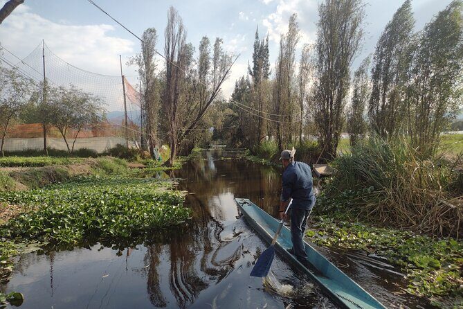 Pre-Hispanic Xochimilco and ajolotario. Private Ecotour. - What the Tour Means for You