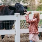 Premium Amish Country Tour including Amish Farm and House - Frequently Asked Questions