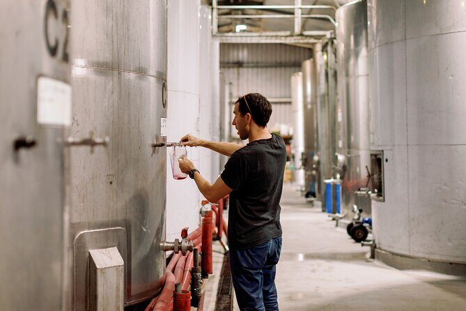 Premium Hunter Wine Tour with Degustation Lunch and Paired Wines - FAQ