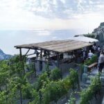 Premium Ischia Wine Tasting Experience with Transfer Included - Why This Tour Works Well