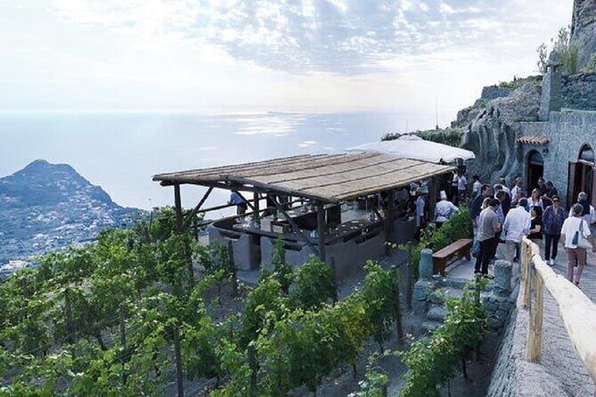 Premium Ischia Wine Tasting Experience with Transfer Included - Why This Tour Works Well