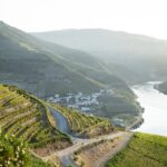Premium Private Douro Tour: 2 Wineries with Tastings & Cruise - FAQs