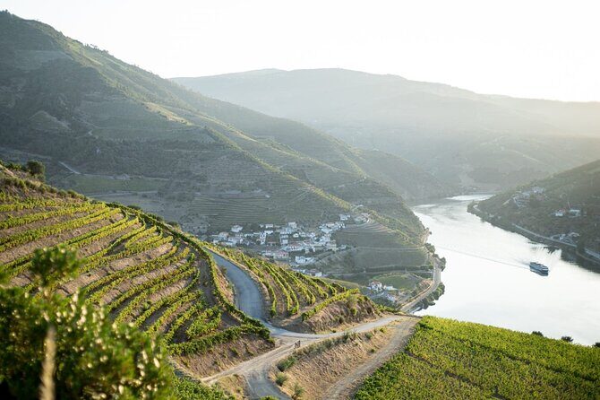 Premium Private Douro Tour: 2 Wineries with Tastings & Cruise - FAQs