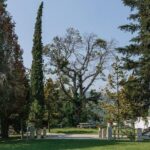 Premium Private Douro & Vinho Verde Tour: Wine Tastings & Lunch - Practical Details and Tips