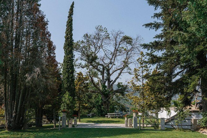Premium Private Douro & Vinho Verde Tour: Wine Tastings & Lunch - Practical Details and Tips