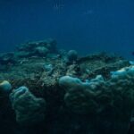 Premium Sea Scooter Lagoon Discovery - Who Would Love This Tour?