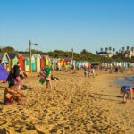 Premium Small Group Philip Island eco Tour - What Does the Tour Mean for You?