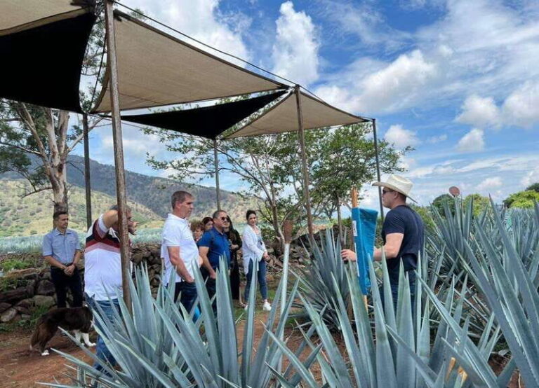 Premium Tequila Route with professional tasting - The Value of the Experience
