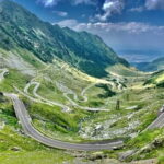 PREMIUM TOUR: Bears Safari on Transfagarasan Road - A Detailed Look at the Bears Safari on Transfagarasan Road