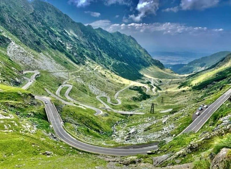PREMIUM TOUR: Bears Safari on Transfagarasan Road - A Detailed Look at the Bears Safari on Transfagarasan Road