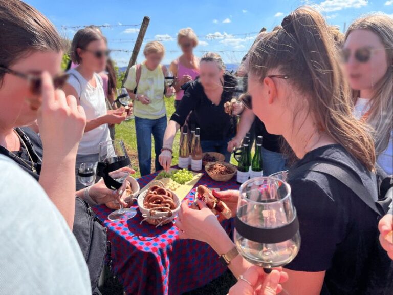 Premium wine hike Stuttgart with games and winemaker's snack - What the Reviews Say