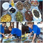 Preveza: Dolphin Watching Cruise with Lunch and Drinks - An In-Depth Look at the Dolphin Watching Experience
