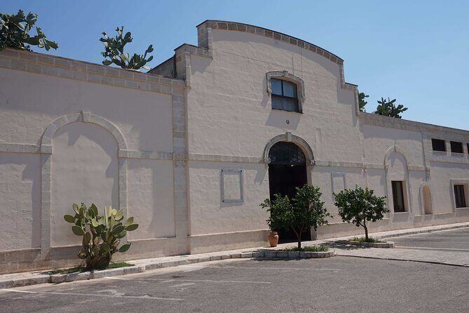 Primitivo and Negroamaro wine tour: a visit to two wineries and typical lunch. From Lecce - Why This Tour is a Great Choice