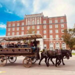 Prince Edward Island: Horse-Drawn Carriage Tour - A Detailed Look at the Horse-Drawn Carriage Tour