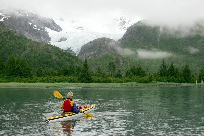 Prince William Sound Tour with Glacier Landing from Girdwood - Final Thoughts: Is This Tour Right for You?
