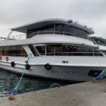 Princes' Islands Tour from Istanbul Lunch Included - Logistics and Practicalities